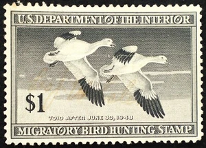 U.S. Used Stamp Scott #RW14 $1 Federal Duck Hunting. XF - Superb. A Gem! - Picture 1 of 2