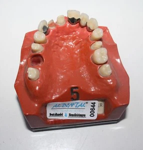 Go Dent Schaumodell Nr. 5 # 00644 - Bild 1 von 1