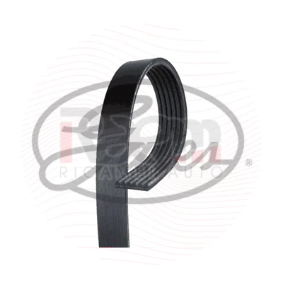 Courroie PV Services Alternateur FIAT 500 PANDA 169 312 IDEA Y 1300 MTJ 6PK1183 - Photo 1/2