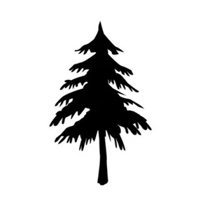 Pine Tree Decal - Buy 1 Get 1 Free - Christmas Tree Decal - BOGO - Picture 1 of 11