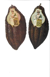 Die-Cut, 2, CACAO E CIOCCOLATO di Huyler. Fagiolo di cacao, S6D-TC-4631 - Foto 1 di 2