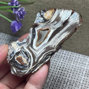 84g Bonsai Suiseki Natural-Ojos de Ágata Gobi Natural Piedra-Raro Impresionante a2955 - Imagen 1 de 9