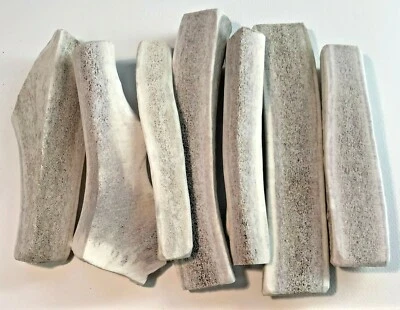 HIGH COUNTRY ANTLERS BEST VALUE! 3 POUNDS of Seasoned Elk/Deer Split Antler Dog Chews: size LARGE/XL