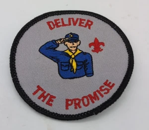 Parche Boy Scout Cub Deliver the Promise - Imagen 1 de 1