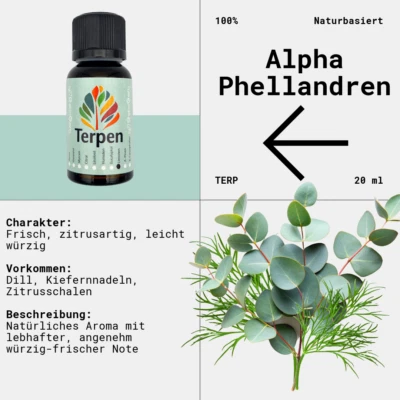 GEBO GEFTI HYDROPONICS Aplha Phellandren 20 ml | Reines Terpen
