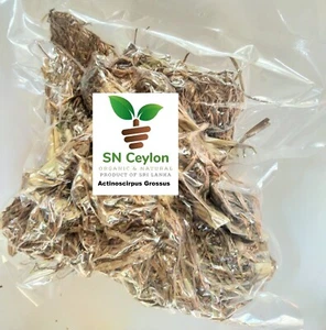 Getrocknete Blätter Blütenwurzel Actinoscirpus grossus Segge Scirpus - 250g-450g - Bild 1 von 14