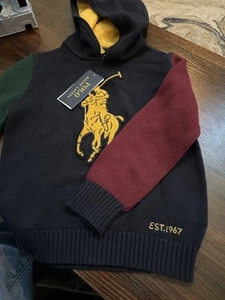 Polo Ralph Lauren Boys 6 Hooded Sweater Hoodie Big Pony Embroidery Multi Color - Picture 1 of 4