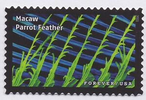 US 5802b Life Magnified Macaw Parrot Feather F single MNH 2023