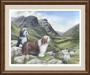 BEARDED COLLIE 'beardie' dog print 'The Old Drovers Road' by Lynn Paterson - Picture 1 of 3