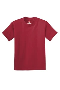 Hanes Youth Authentic 100% Cotton T-Shirt 5450 FREE SHIPPING! - Picture 1 of 9
