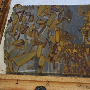 Bamboo jasper slab, beautiful color and pattern. 5"x 3 1/4"x .25" 5.9oz - Picture 1 of 12