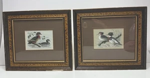 Set of 2 Vtg Cashs Silk Woven Pictures Wood Duck Red Breasted Merganser England - Picture 1 of 16