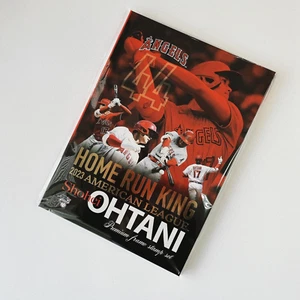 Shohei Ohtani 2023 Home Run Championship Commemoration Premium Goods Set - Picture 1 of 16