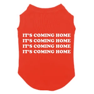 Its Coming Home Mania - Dog T Shirt - Picture 1 of 10