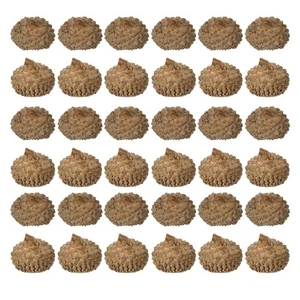 150 Piezas Tapas Naturales con Cáscara de Bellota Pequeño Frutero Artificial Decoración - Imagen 1 de 12