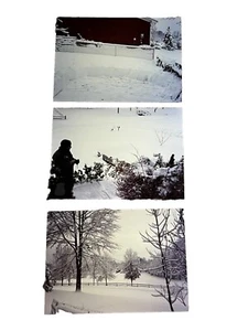 Vintage 1990’s Photos Major Winter Storm Of January 1994 - Louisville Kentucky - Bild 1 von 2