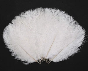 Hollosport 30PCS Bulk White Ostrich Feathers 10-12 Inches Inch - Picture 1 of 7