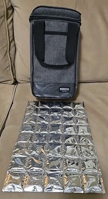 Igloo® - Bolsa tote de vinho Daytripper nova sem etiquetas com bloco de gelo reutilizável cinza e preto - Imagem 1 de 4