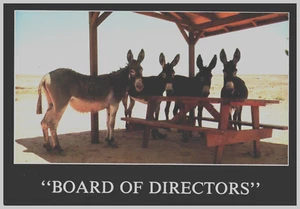Board of Directors, Donkey Humor Postcard - Picture 1 of 2