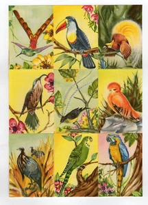 9 chromos anciens les oiseaux (2) /RUBdé - Imagen 1 de 2