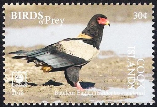 Cook Islands 2018 - Bird of Prey - Bateleur Eagle - Image 1 of 1