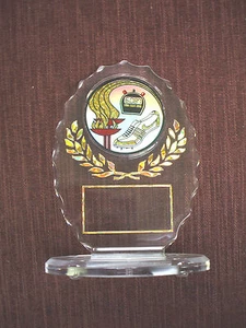 TRACK trophy award clear oval acrylic torch track - Picture 1 of 1