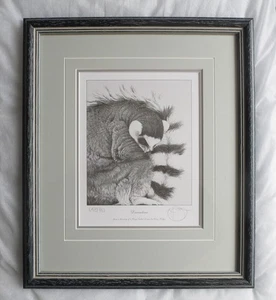 GARY HODGES "DREAMTIME" RING TAILED LEMUR - LIMITED EDITION PRINT - FRAMED - Picture 1 of 3