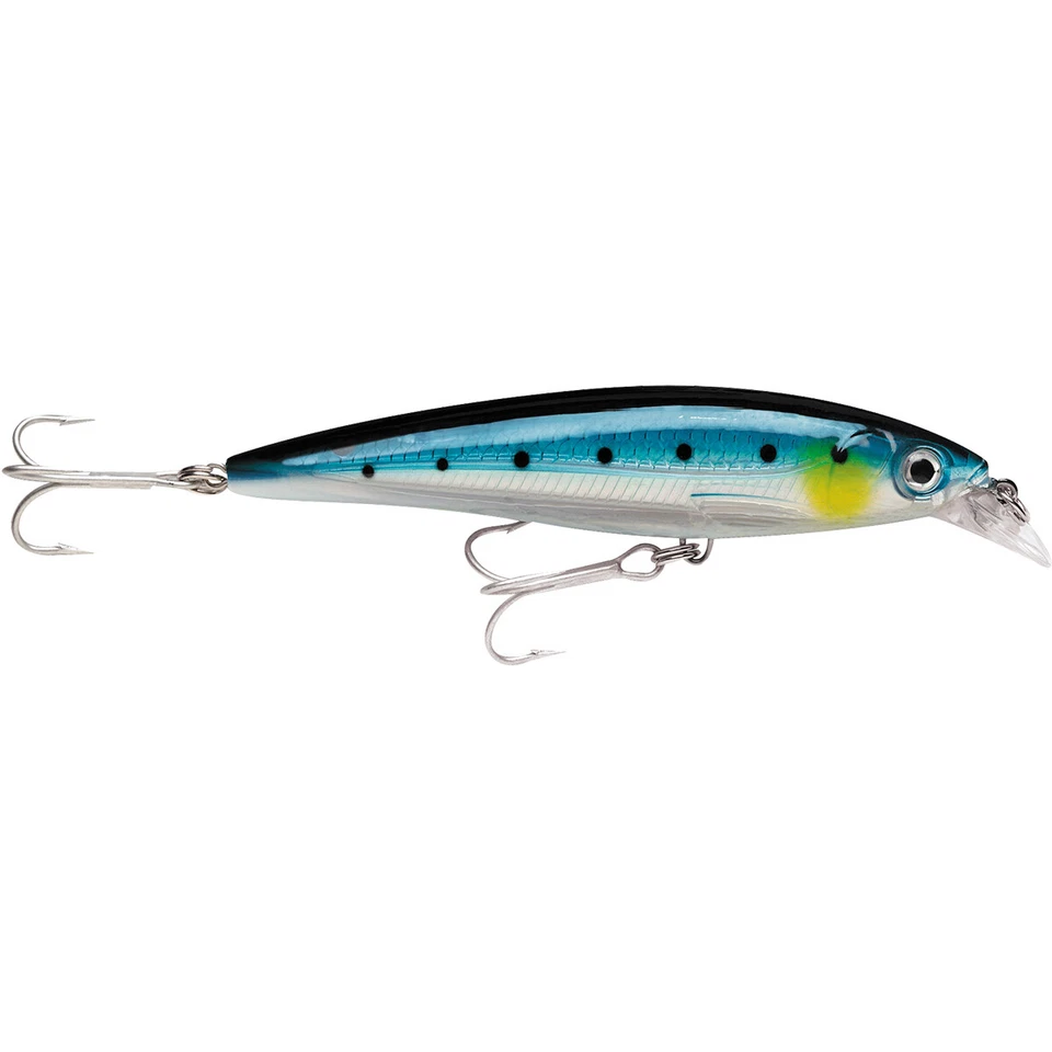 Rapala Sxr10bsrd X-rap Saltwater Size 10 Blue Sardine Fishing Hard Bait