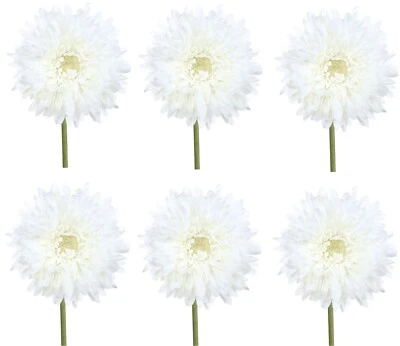 6er Set künstliche Gerbera weiß H. 60cm mit fülliger Blüte GASPER Kunstblumen - Bild 1 von 3