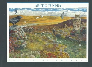 U S Full Sheet Of Mint Stamps Scott #3802 Arctic Tundra See Info - Picture 1 of 2