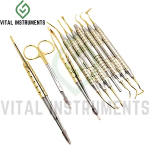 10 instrumentos de procedimiento de túnel de elevación de implantes sinusales kit de oro dental alemán - Imagen 1 de 1