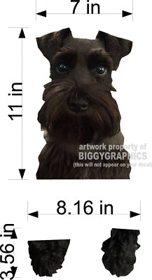 BIGGYGRAPHICS BLACK SCHNAUZER DOG VINYL PEEKER DECAL STICKER FOR CAR WINDOW