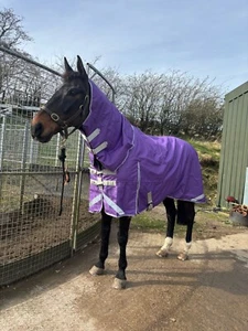 1200 Denier Waterproof Horse Turnout Rug Detatchable Neck 100gm and Liner - Picture 1 of 44