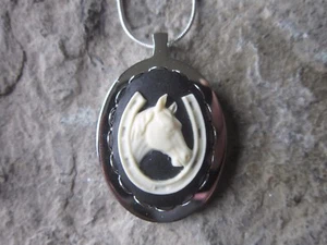 EDELSTAHL PFERD & HUFEISEN KAMEE URNE HALSKETTE - TRAUER, ASCHE, HAARE, TIERARZT - Bild 1 von 4