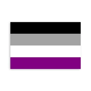Asexual Pride Flag Sticker  - [4'' x 6''] - Foto 1 di 1
