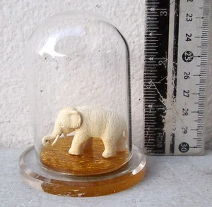 Miniature Wrightia Arborea Wood White Elephant in a Glass Jar Samsak Meewan - Picture 1 of 9