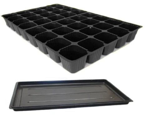 Anzuchtplatte Topfplatte 40 Töpfe Pflanzen Aussaat Multitopf Multitopfpalette - Bild 1 von 1
