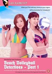 Beach Volleyball Detectives - Picture 1 of 1