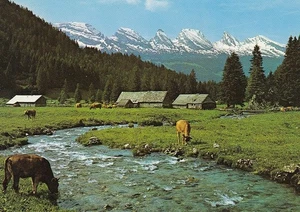 Unterwasser (Obertoggenburg), Aelpli mit Churfirsten ngl E0467 - Picture 1 of 2