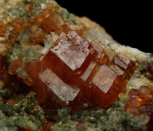 GARNET - GROSSULAR crystals & DIOPSIDE - NORWAY Nordland - Vefsn - Toven /pj977 - Picture 1 of 17