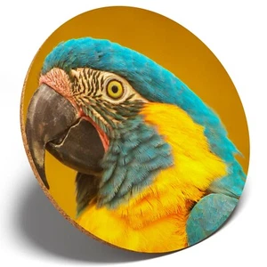 1 x Blue Throated Macaw - Round Coaster Kitchen Student Kids Gift #16399 - Picture 1 of 4