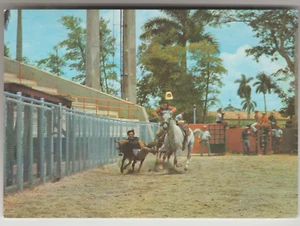 RODEO CUBA HABANA CABALGANDO CABALLOS en parque Lenin, COMO NUEVO - Imagen 1 de 2