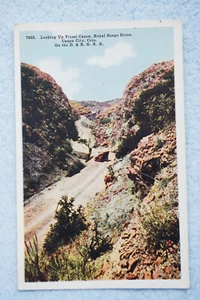 Looking Up Priest Canon - Royal Gorge Drive - Canon City, Colorado - Imagen 1 de 2