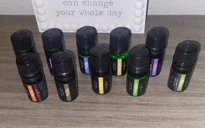 Lote de 10 Aceites Esenciales ANJOU Lavanda, Árbol de Té, Naranja Dulce, Limón y Más Foto 1 de 3