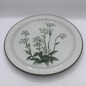 Noritake Stoneware Mountain Flowers 8343 10.5” Dinner Plate (s) EUC - Picture 1 of 2