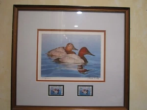 1984 Waterfowl Stamp Print Canvasback Thomas Hirata Framed Signed 3633/10011 NJ - Picture 1 of 14