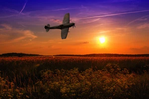 Supermarine Spitfire, bbmf, TE311, impresiones en lona varios tamaños envío gratuito - Imagen 1 de 1