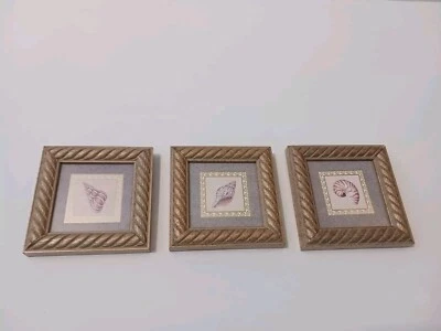 Kirklands Seashells Art Framed (Set Of 3) 4x4 A Kathy Seek Design - Image 1 of 4