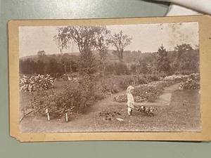 1894 Penacook NH girl child gardening albumen occupational photograph - Picture 1 of 3
