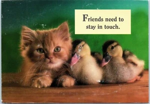 Friends Need to Stay in Touch. Kitten and Ducklings Postcard Postmarked 1992 - Picture 1 of 2